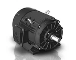Techtop GR3-CI-TF-364T-4-BR-D-60 Motor Hp 1800 Rpm 3-PH 230/460 Volt. Fixed Price $4597.60.