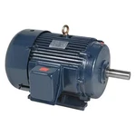 Marathon 215TTFCD6080 Three-phase General Purpose Motor, Hp, Frame, 575V. Fixed Price $1451.99.