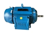 Weg Inverter Duty Motor 460V 3PH 20HP 3525RPM Tefc 254/6JM 02036ET3E256JM-W22. Fixed Price $2099.00.