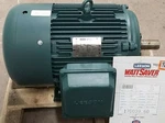 Leeson 40 Hp 170039.60 Wattsaver Pem 208-230/460V 3555 Rpm 324TS Tefc Rigid. Fixed Price $4028.00.