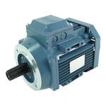 Abb M2AA100 La B14 Electric Motor 0.75KW 700RPM 380-420V -used-. Fixed Price $406.65.