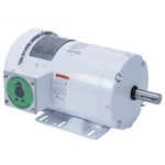 Leeson 121865.00 Washdown Duty Ac Motor Hp 1,800 Rpm 230/460. Fixed Price $825.58.