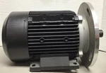 Lafert ST100LS4 Ac Motor Tefc 4HP 230V 12A 1700RPM (F5). Fixed Price $345.00.