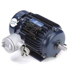 Leeson 143TTGN6526 Hazloc Motor, Hp, 1765 Rpm, 208-230/460V. Fixed Price $846.99.