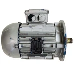 Weg Motor GC08764. Fixed Price $150.00.