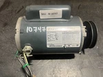 Marathon 5KC38NN410GX Hp 3/4 56 Frame Electric Motor. Fixed Price $157.52.