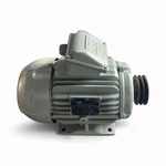Weg Motor Model 2203052110 Three-phase Industrial Electric. Fixed Price $1364.00.