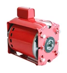 1/12HP 1725RPM 115 Volts Bell & Gossett (111034) Circulator Pump Replacement .... Fixed Price $287.40.