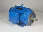 Weg Severe Duty 15HP Phase Electric Motor Model 01536ST3QIE254TC-W22. Fixed Price $1999.00.