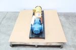 Tuthill Globalgear GG030I Process Pump 30GPM 1.5HP 230/460V-AC 2IN 50MM. Fixed Price $3000.00.