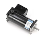 Leeson M1120046.00 Electric Motor 1/6-1/3 Hp 12-24 Volt Dc 1800-3900 Rpm 31 Fr. Fixed Price $430.23.