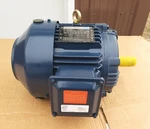 Marathon Globetrotter Leeson GT0010A General Purpose Motor - W. Fixed Price $387.50.