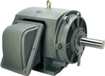 DHP2004 Teco 200HP 1800RPM Electric Motor Odp 230/460 445T New. Fixed Price $9623.00.
