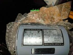New Seiki E5530014 Inductio Nmotor/yaskawa Ph Type EELQ-7 /JIS-C-4004. Fixed Price $160.00.
