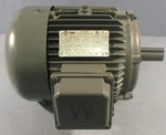 Worldwide Electric PEWWE3-18-182T 3-PHASE Induction Motor 3HP 1-1/8" Shaft Dia. Fixed Price $349.99.