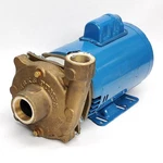 Burks Crane Centrifugal Pump L15GA5-1-1/4 1.5HP 4.97"IMP.DIA. 115/230V 1PHASE. Fixed Price $249.99.