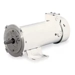 Dayton 1F646A Wshdwn Motor, Tefc, 3/4 Hp, 1750RPM, 90VDC. Fixed Price $1031.99.