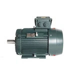 Toshiba 0044SDMV7FS-PL 5 Hp Electric Motor 1/2" Npt Power. Fixed Price $797.34.