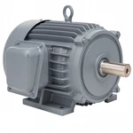 NP0304 Teco 30HP 1800RPM Electric Motor Tefc 230/460 284/286T New. Fixed Price $1943.00.