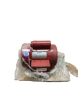 New In Bag Leeson Motor 1725 Rpm, 115V, 60HZ, Ph HP1, M6C17FB10K. Fixed Price $435.60.