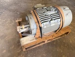 Siemens Rgzzesd 1MB29112CB216GA3 High Efficiency 30HP. Fixed Price $2999.00.