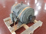 Newman Electric Motors 444T /DD3782BR. Fixed Price $3644.99.
