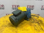 Morse 256GCT L 145T 30RATIO 1.37HP 1750RPM Motor. Fixed Price $375.00.