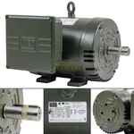 5HP Single Phase Electric Motor Air Compressor Duty 184T Frame 3450/3500 Rpm Weg. Fixed Price $767.18.