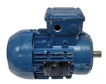 Weg Ac Motor 09N0V2020 W21 Multimounting High Efficiency Assembly. Fixed Price $189.99.