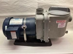 ROCKWELL,2 Inch,centrifugal Pump W/leeson 3-PHASE 3450RPM 2HP FR:56C. Fixed Price $900.00.