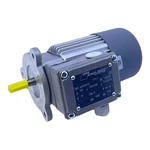Mini Motor AM145P2T Electric 230/400V 50HZ 0.32/0.18A 18W IP65. Fixed Price $231.22.