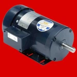 Marathon Electric 145TTFR16035 General Purpose Motor, 2 & Hp, Ph, 50 Hz. Fixed Price $486.20.
