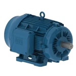 Weg Nema Premium Efficiency 15HP General Purpose Motor 01518ET3E254T-W22. Fixed Price $2000.00.