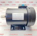 Fuji Electric MLK1085M 3-PHASE Induction Motor (new). Fixed Price $580.00.