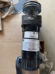 Bison 011-100-1013 Gearmotor For Roach Roller Conveyor 1/14HP 130VDC 183 Rpm. Fixed Price $200.00.