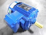 New Hp Elektrim 20NFM-3-1 Premium Efficiency Electric Motor 143T Frame 1765RPM. Fixed Price $200.00.