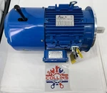 Motovario TBG182TH4X Worm Gear Reducer Break Motor, 210118023, 3HP, 3P, 460V. Fixed Price $513.25.