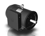 Techtop RD1-RS-TF-184TC-4-B-B-5 Motor Hp 1800 Rpm 1-PH 208-230 V. Fixed Price $1084.00.