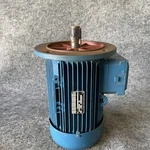 Grupo Industriale Ercole Marelli MOT3-MA-112-M6-85 50HZ 220V Motor New. Fixed Price $1699.99.