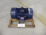 Marathon NH256THFNA18047AAL Bluemax Electric Motor 935742 60HP Tefc 256TZ. Fixed Price $2500.00.