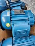 Weg 00118ET3ER143TC-W22 Tefc Motor 3PH 1HP 1760RPM 230/460VAC. Fixed Price $200.00.