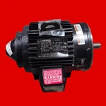 Marathon Motors Y540 Black Max Inverter (vector) Duty Motor, 2 Hp, 184T Fr, 116. Fixed Price $1327.70.