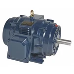 Marathon 364TTDBD6060 Three-phase General Purpose Motor, Hp, Frame,. Fixed Price $4100.99.