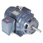 Marathon 256TTDBD6032 Close-coupled Pump Motor, 3-PHASE, 20 Hp. Fixed Price $2328.99.