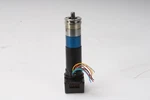 Faulhaber 2444V0011 Brushless Dc Motor 23/1 14:1. Fixed Price $70.24.