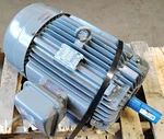 Teco Westinghouse NP0204 230/460 1760 Rpm Hp Max-pe Severe Duty Motor. Fixed Price $1499.99.