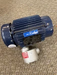 Marathon YA145TTGN16504AA C302B Motor 145TC 1.12KW 2900RPM 460V-AC 3PH. Fixed Price $404.99.