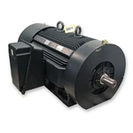 Unused 500HP Toshiba Motor 5810US Frame 1190 Rpm. Fixed Price $19072.00.