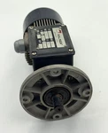 Minimotor AC244PT Electric Made Italy. Fixed Price $499.00.