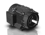 Techtop GX3-AL-TF-145TC-4-B-D-2 Aluminum Motor Hp 1800 Rpm 3PH 230/460 V. Fixed Price $447.80.